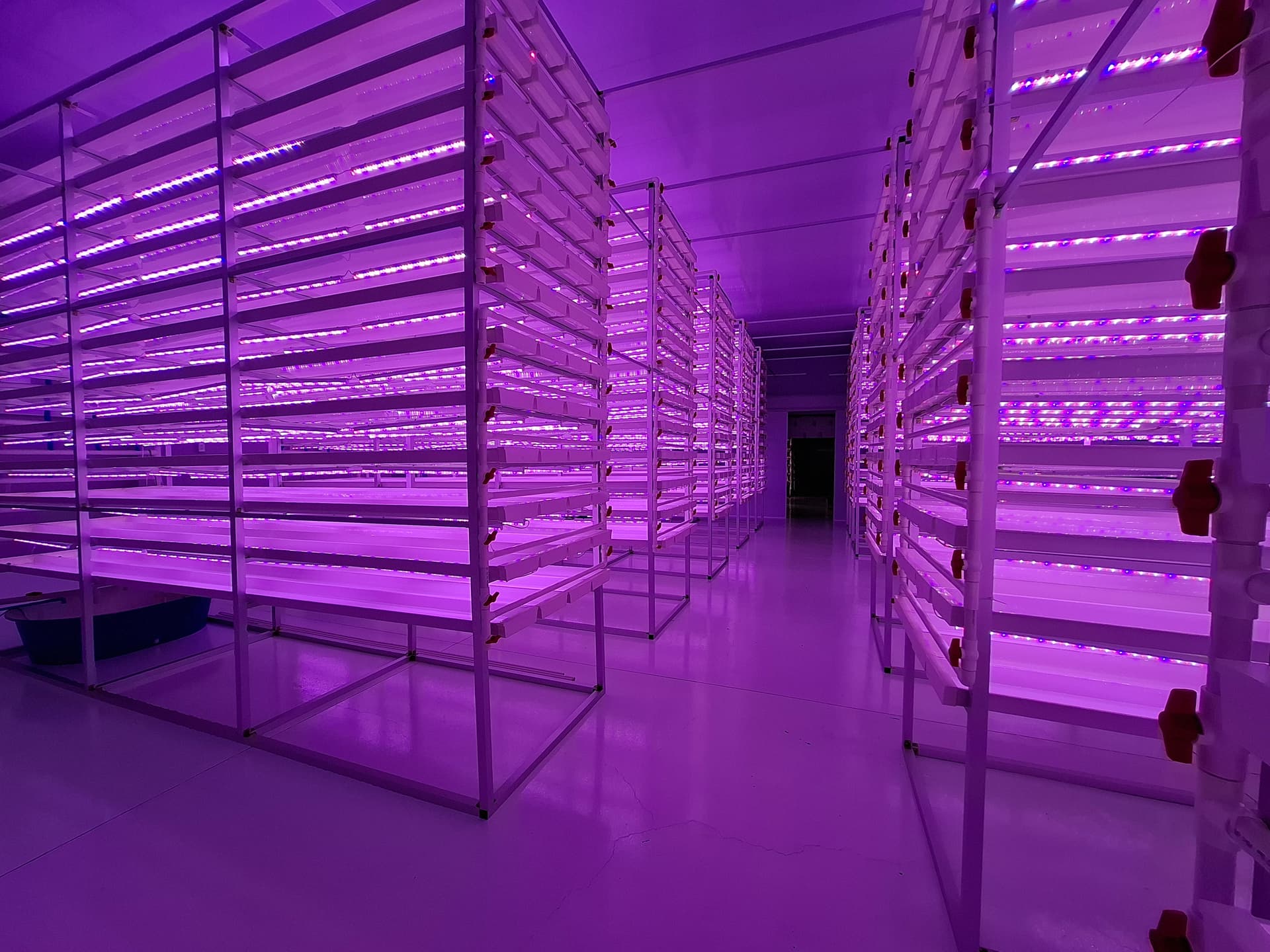 Green Codex Indoor Hydroponic Facility